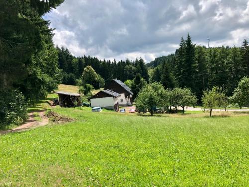 a large field with a house in the background at Ferien im Schwarzwald Freiamt in Freiamt