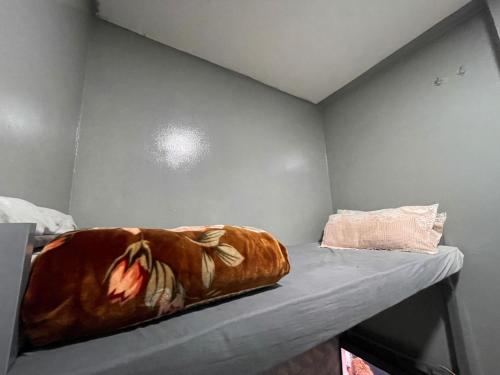 Katil atau katil-katil dalam bilik di capsule bed