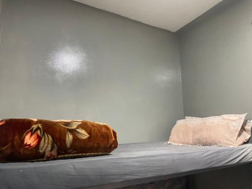 Katil atau katil-katil dalam bilik di capsule bed