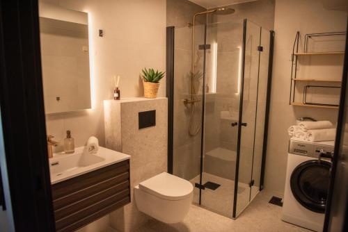 a bathroom with a shower toilet and a sink at Penthouse, heart of city center, high standard in Stavanger