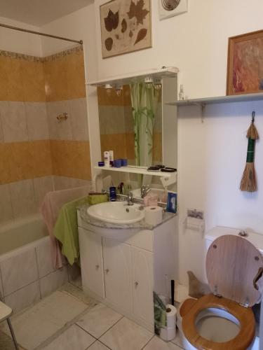 une salle de bain avec toilettes, lavabo et baignoire dans l'établissement Grand Studio Gentilly, à Gentilly