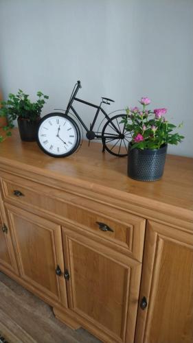 a clock on top of a dresser with two potted plants at Apartman TGMasaryka in Karlovy Vary