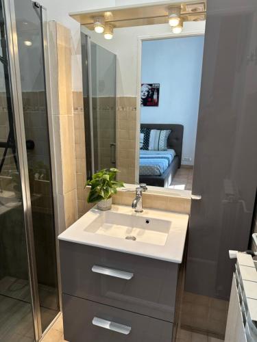une salle de bain avec un lavabo et un miroir dans l'établissement Maison de ville à Nice Ouest dans propriété arborée, à Nice