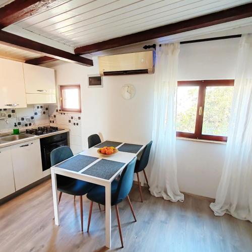 Apartment Venier