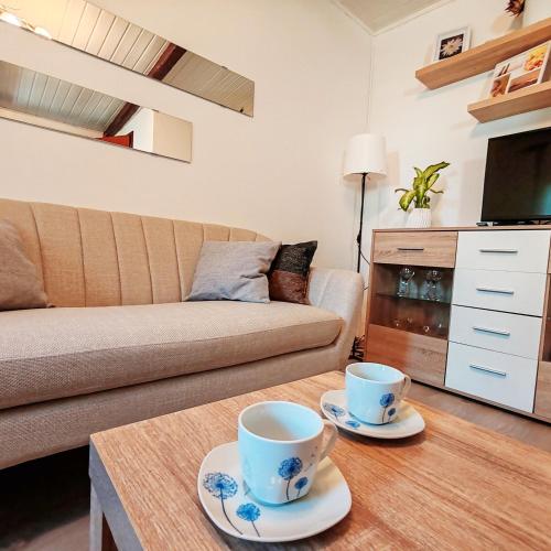 Apartment Venier