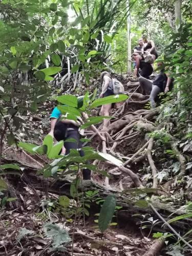 a group of people on a trail in the forest at Naura Roomstay in Kuala Tahan