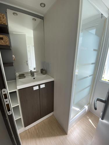 une salle de bain avec un lavabo et un miroir dans l'établissement V&B Mobil-Home, à Saillagouse