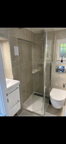 une salle de bain avec une douche, un lavabo et des toilettes dans l'établissement Logement lina - proche paris et Orly, à Palaiseau
