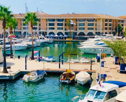 un port de plaisance avec des bateaux amarrés devant un bâtiment dans l'établissement Charmant 2 pièces à Port-Fréjus, à Fréjus