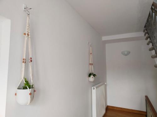 a room with a white wall with a hanging plant at Da Francesca in Meduno