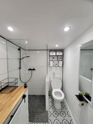 une salle de bain avec toilettes et douche dans l'établissement Maison proche de Honfleur, côte fleurie, à Conteville