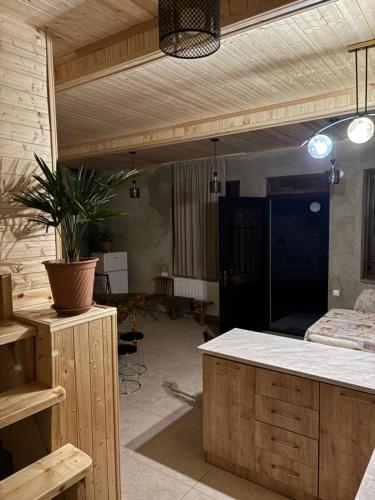 Φωτογραφία από το άλμπουμ του Family Hostel Nika σε Kazbegi