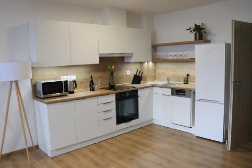 Una cocina o cocineta en Apartmány B. Němcové