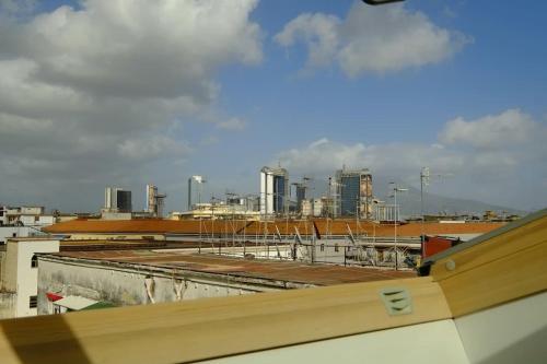 Ibis Redibis