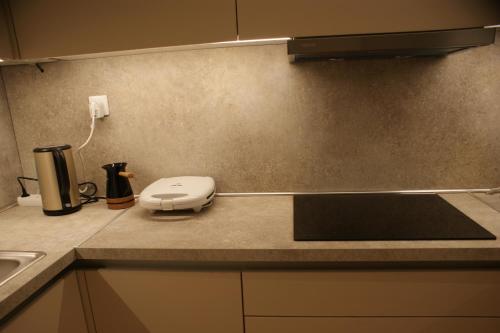 a kitchen counter with a toaster on a counter top at Thelea Mani in Kafióna