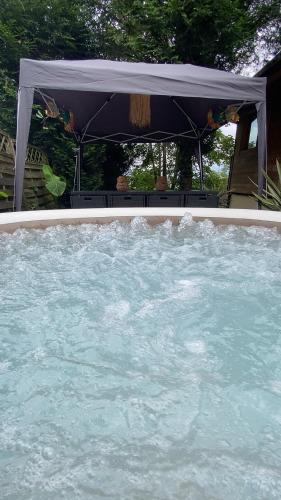 Πισίνα στο ή κοντά στο Au seuil de la Forêt 65m2 Nature & Spa