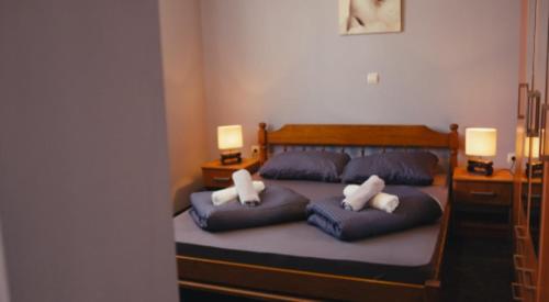 a bedroom with a bed with two pillows and two lamps at Villa Rita in Županja