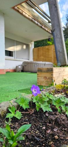 Photo de la galerie de l'établissement Le Grand Tétras - Col du Donon, à Grandfontaine