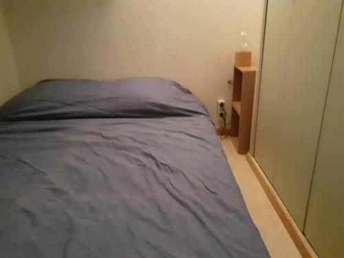 - une chambre avec un lit dans une pièce avec un placard dans l'établissement Studio cabine Pégase 18 08 étage élevé balcon sud vue pistes, à Villarembert