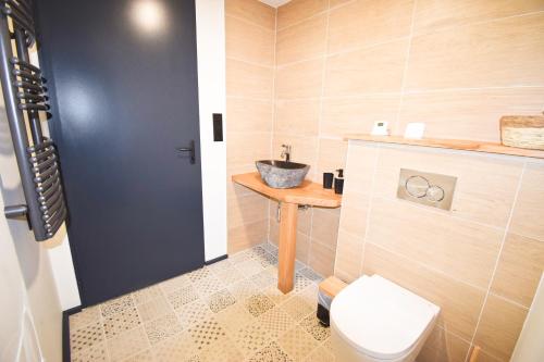 a bathroom with a toilet and a sink at Magnifique duplex vue montagnes LARUN in Zugarramurdi