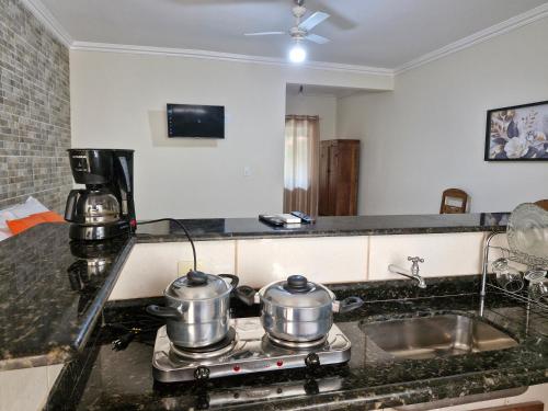 Kuchyň nebo kuchyňský kout v ubytování Lofts encantus
