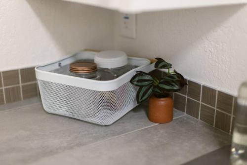 a container sitting on a kitchen counter with a plant at Oakdale Suites - Master Property in Medford