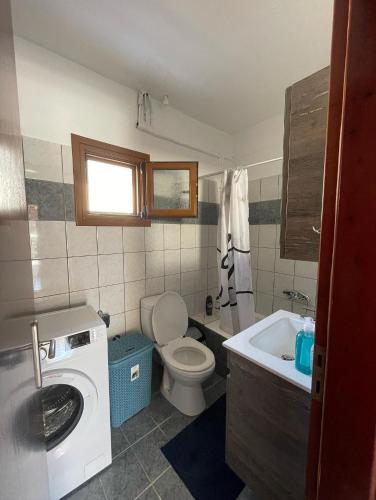 a bathroom with a washing machine and a sink at Maison Olga in Valanidorachi