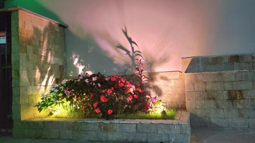 a planter with red flowers on a brick wall at Perfeito Studio 22 in Poços de Caldas
