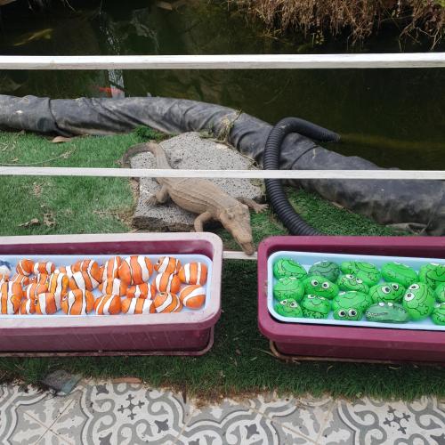 two trays of carrots and a box of angry eyes at חצבים על הואדי in Arad