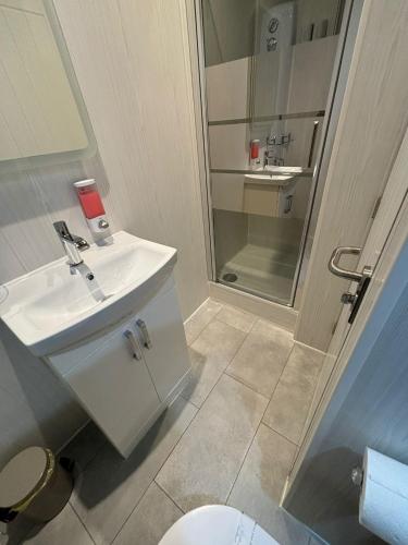 a bathroom with a sink and a toilet at Kings Boutique Hotel in Blackpool