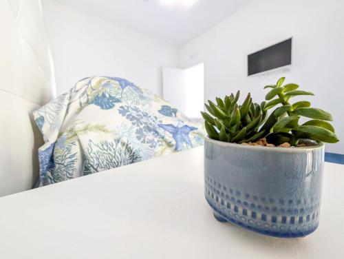 Μια τηλεόραση ή/και κέντρο ψυχαγωγίας στο Casa Emi