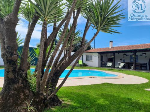 a villa with a swimming pool and palm trees at QM - Quinta da Morgadinha - Casa em Quinta Rural in Cabeços