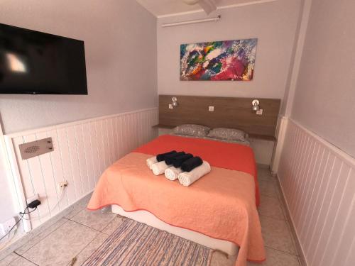Fotografia z galérie ubytovania Apartamento Paraiso Valle Luz v destinácii Puerto de la Cruz