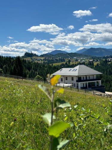 a building in the middle of a field with at Tihuța Village in Piatra Fantanele