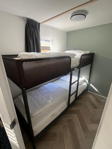 a small room with two bunk beds in it at Stekkie 49 in Schagen