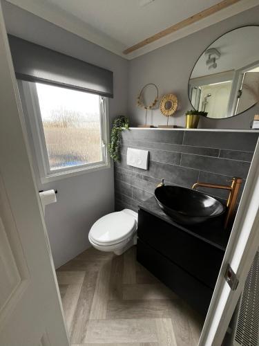 a bathroom with a sink and a toilet and a mirror at Stekkie 49 in Schagen