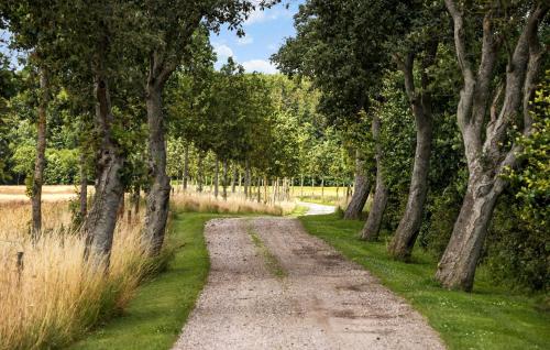 a dirt road with trees on either side at Gorgeous Home In Glesborg in Glesborg