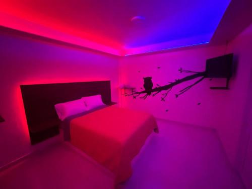 a bedroom with a bed with a tv and a branch at Posada Love in Xometla
