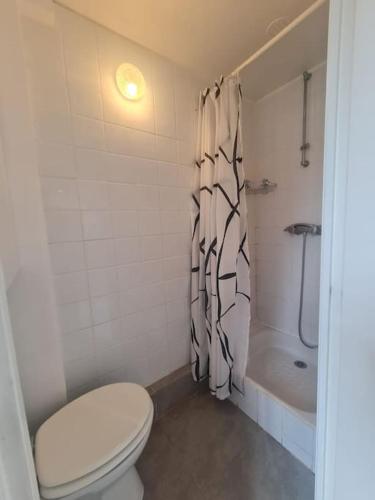 une salle de bain avec toilettes et rideau de douche dans l'établissement Petit studio style bohème, à Angers