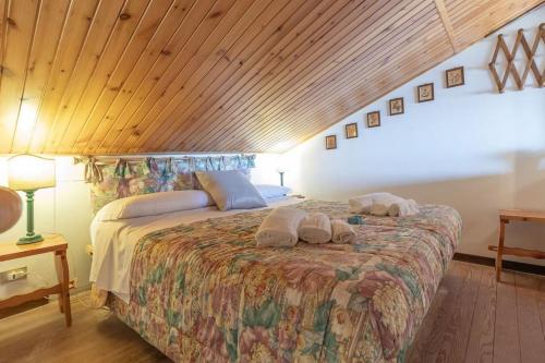 a bedroom with a large bed with two towels on it at Chalet Aria Sottile in Sassotetto