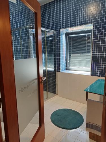 a bathroom with a shower and a glass door at Paço de Vilharigues in Vouzela