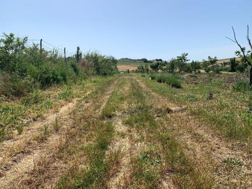 Φυσικό τοπίο κοντά σε αυτή η παραθεριστική κατοικία