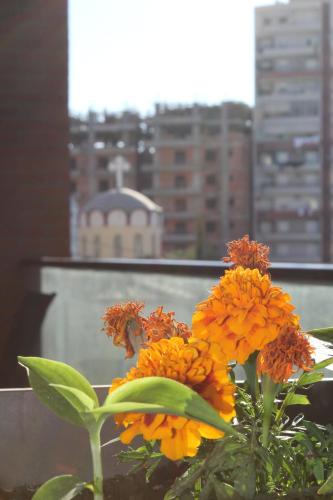 Balkón nebo terasa v ubytování Osmenaj apartment