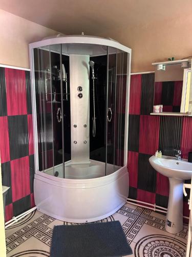 a bathroom with a shower and a sink at Casa Hrincescu in Baia Nouă