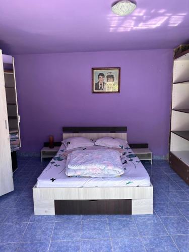 a bedroom with a bed with a purple wall at Casa Hrincescu in Baia Nouă