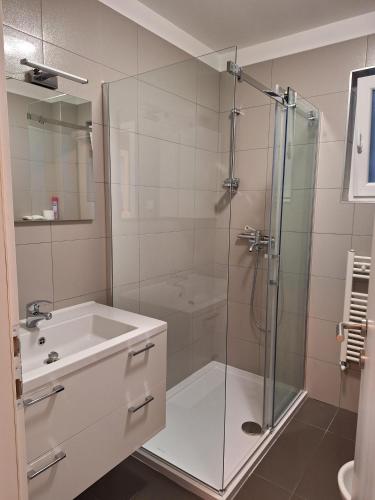 a bathroom with a shower and a sink at Apartment Vidak in Labin