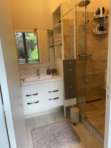 une salle de bain avec un lavabo et une douche dans l'établissement Studio cadre bucolique Neuilly Paris, à Neuilly-sur-Seine
