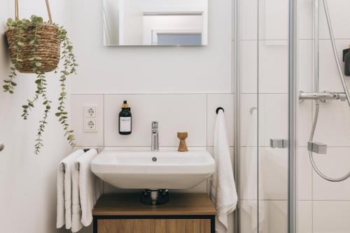 Foto Oasis Appart - Wohnen in Dresden - Netflix - Tiefgarage - Dachterrasse 6