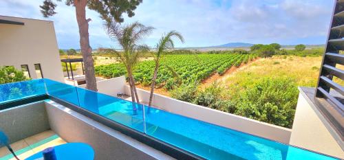 une piscine avec vue sur un vignoble depuis une maison dans l'établissement Le Paradis de Mimose, à Marseillan