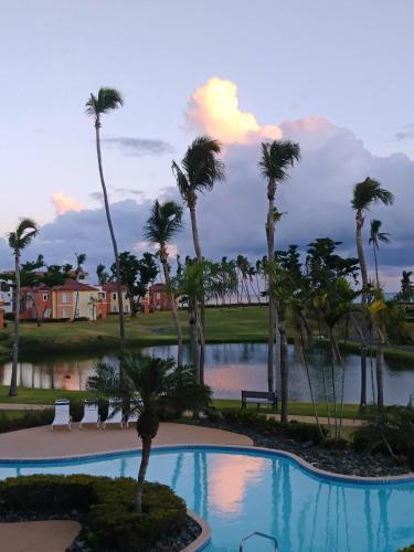 a resort with a pool and palm trees at Palm View in Humacao